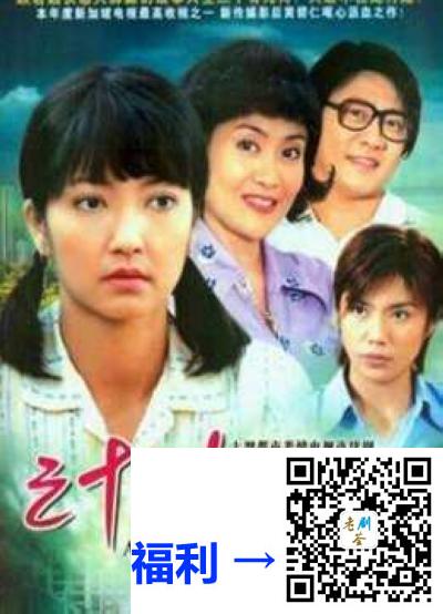 新加坡-2004-三十风雨路-黄碧仁-曹国辉-徐绮-40集全-国语无字-TS-单集约650M