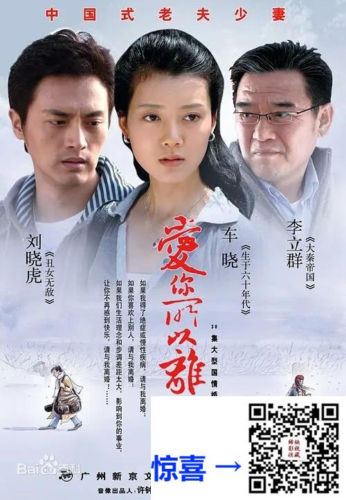 2008-爱你所以离开你-李立群-24集-576pmkv14.02G-国语中字-带试集