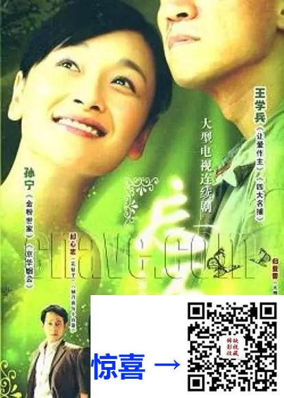 2007-忘不了-王学兵-27集-540pmkv15.35G-国语中字-带试集
