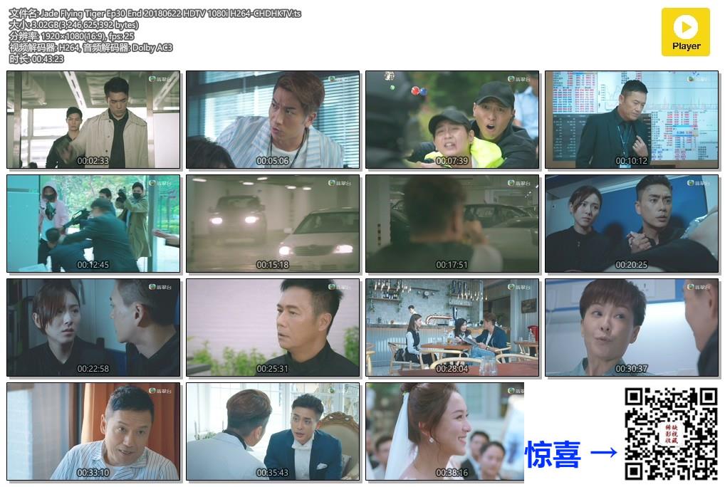 2018-飞虎之潜行极战-苗侨伟-黄宗泽-共30集-粤语3音轨.简繁英软字幕-TS-1080I-翡翠台