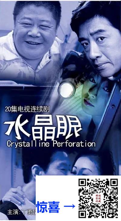 2008-水晶眼-丁勇岱-20集-564pmp43.96G-国语中字-带试集