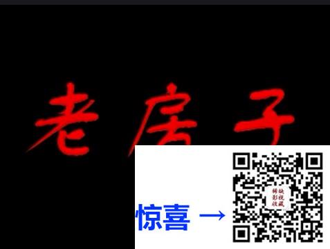 1997-老房子-郭涛-陈小艺-张嘉益-20集-国语无字-DAT-9.16G-VCD原盘