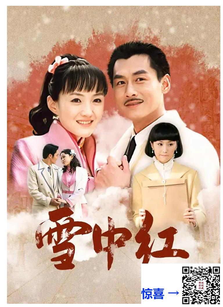 2009-雪中红-国语中字总49集-MP4-总22.8G-蓝心妍-林秀玲-方晓莉-百度网盘