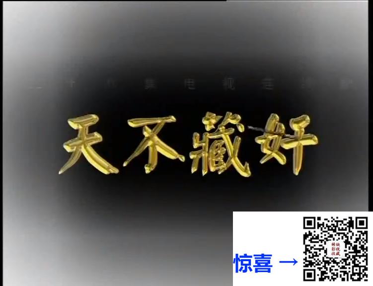 经典剧-2004-天不藏奸-28集-王亚楠-mp4-标清版-原画-单集约610mb-17.25g
