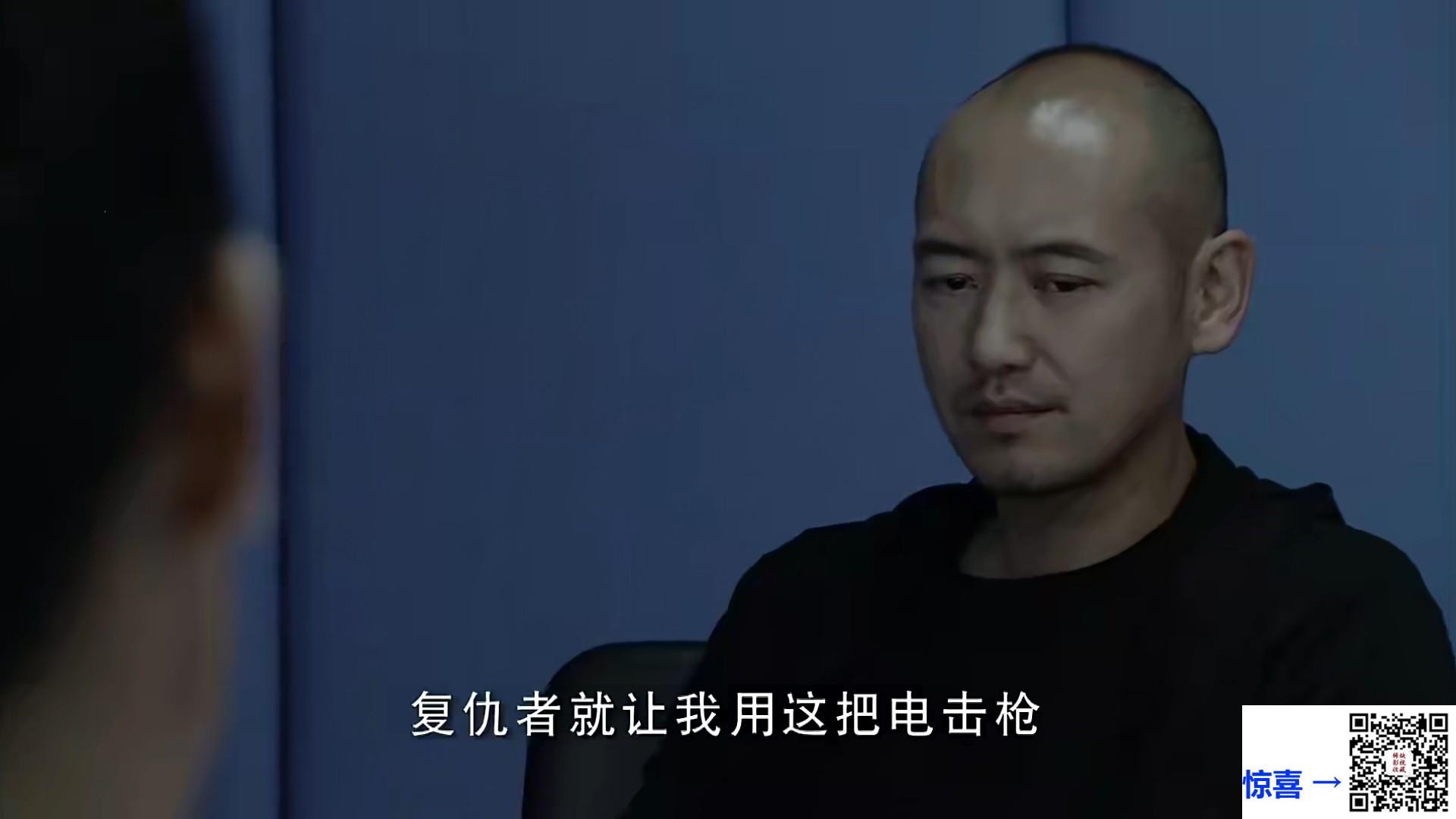 2014-中国刑警803第一季-张垒-董维嘉-陆玲-共50集-国语中字-MP4-每集约1.8G-1080P-无台标无水印