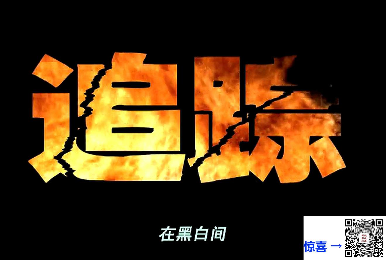2004-追踪-国语中字总18集-MP4-姜武-杨立新-杜源-3.94-百度网盘