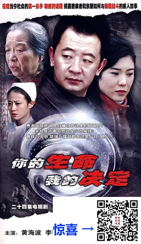 2007-你的生命我的决定-黄海波-22集-576pmkv12.46G-国语中字-带试集