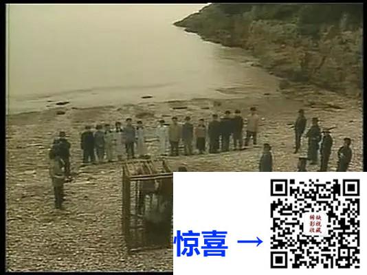 1991-东海游击队-杨宁-陈清-林小兵-王灿-周征波-6集-国语无字-flv-每集约60M