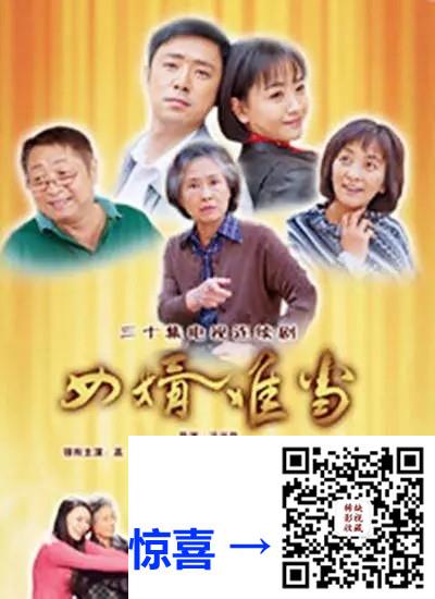 2011-女婿难当-杨蓉-30集-720pmp476.69G-国语中字-带试集