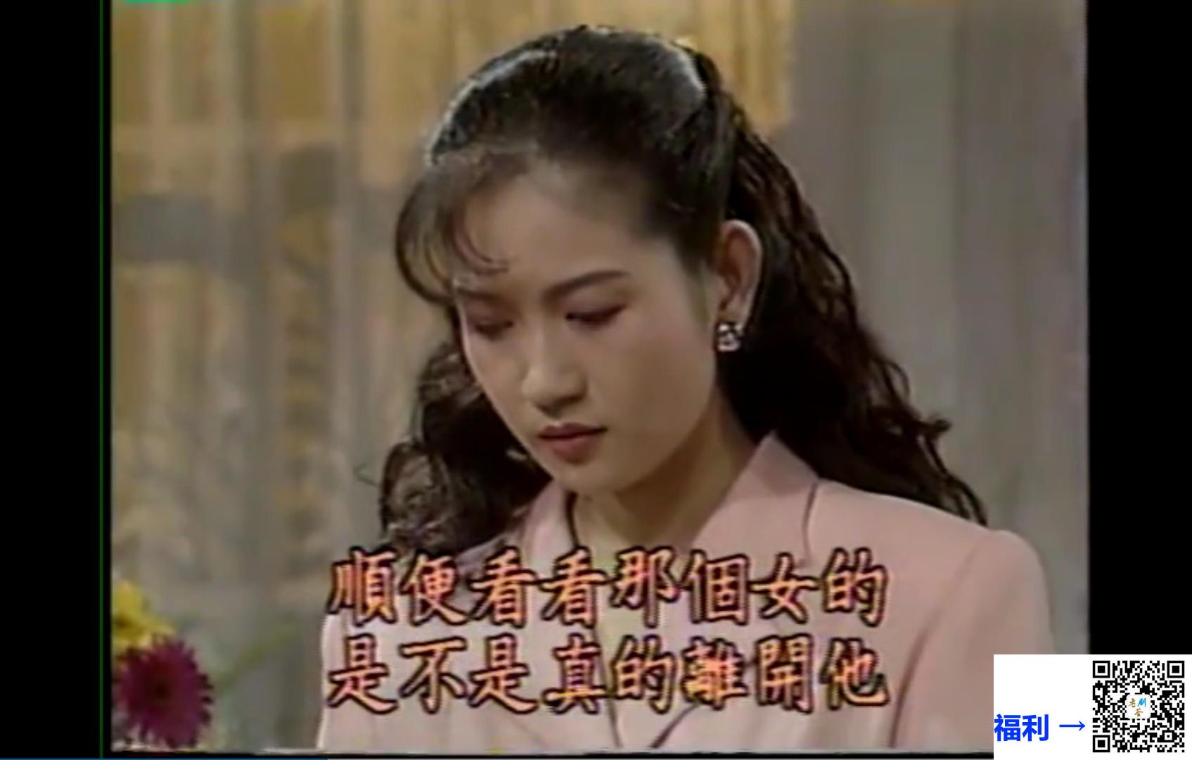 1994-二八年华-涂善妮-15DVD-VOB（小文件齐全）37G-国语繁字