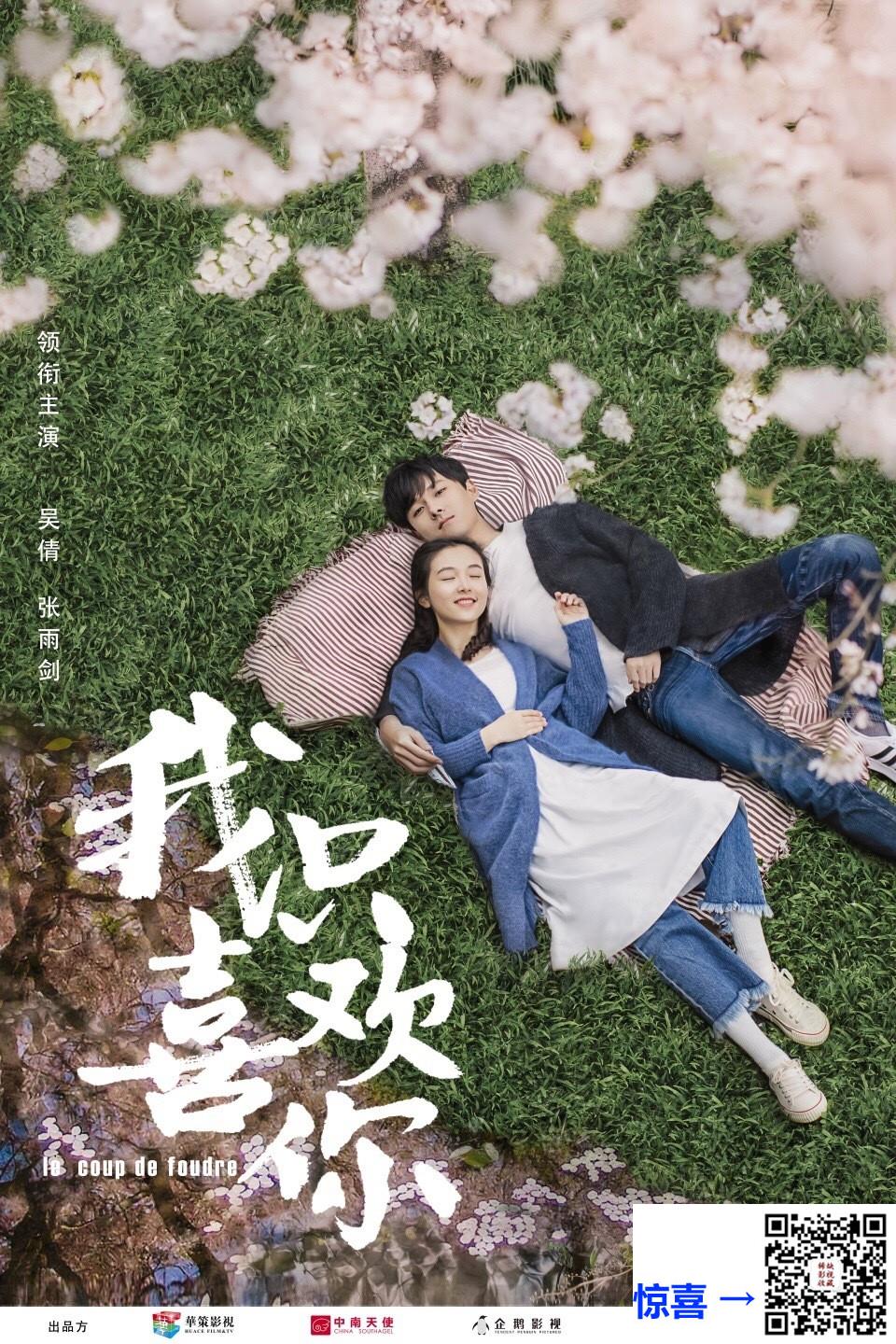 2019-我只喜欢你-吴倩-张雨剑-赵志伟-共35集-国语-中文字幕-MP4每集均约1.08G-共37.65GB-4K-2160P-超清无水印