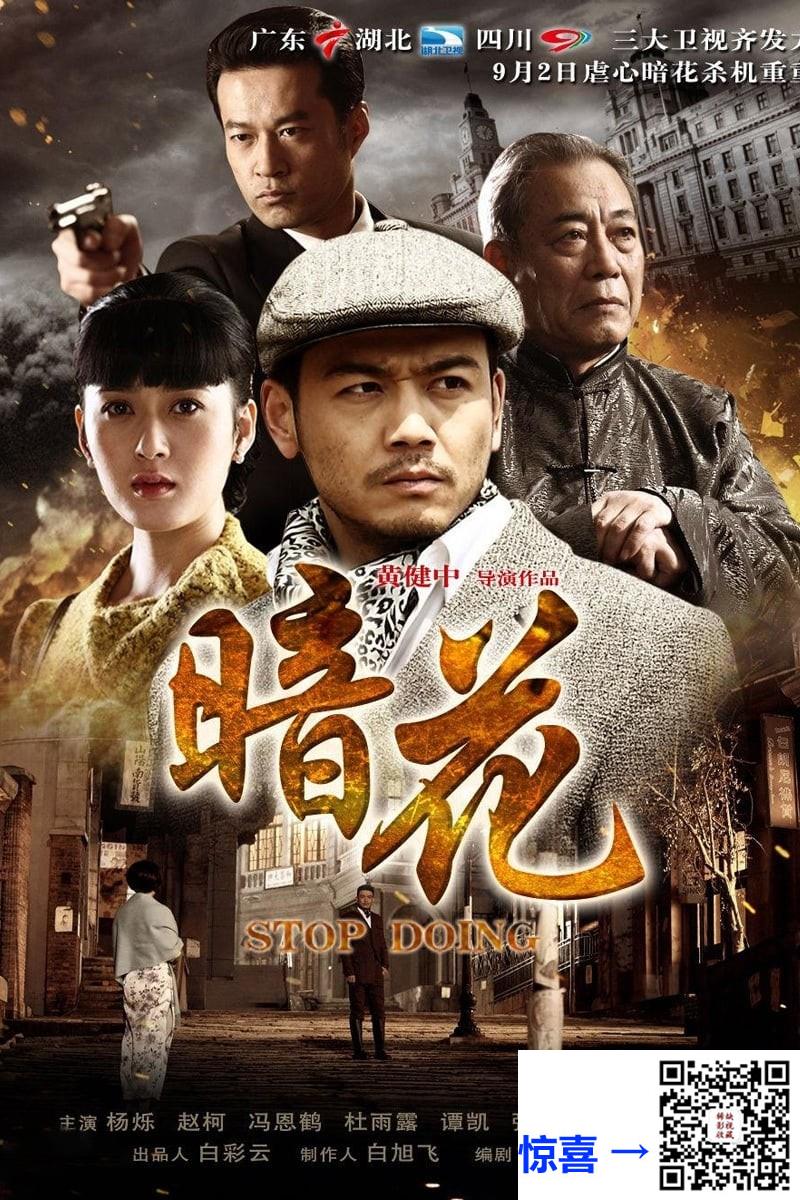 2012-暗花-赵柯-杨烁-冯恩鹤-共30集-国语中字-MP4每集均约850M-共30.57G-1080P-无水印