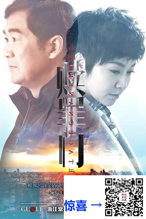 2016-爱的追踪-张国立-闫妮-高晓菲-共36集-国语-中文字幕-MP4每集均约550M-共19.84G-1080P-无水印纯净版