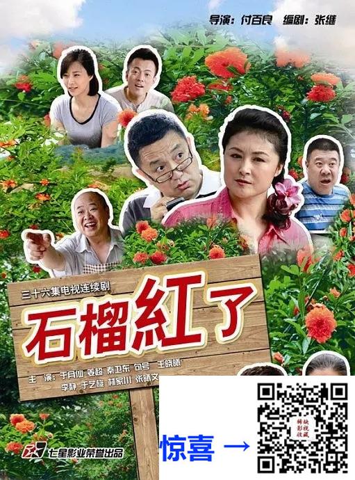 2013-石榴红了火红的日子-于月仙-36集-1080pmp449.26G-国语中字-带试集