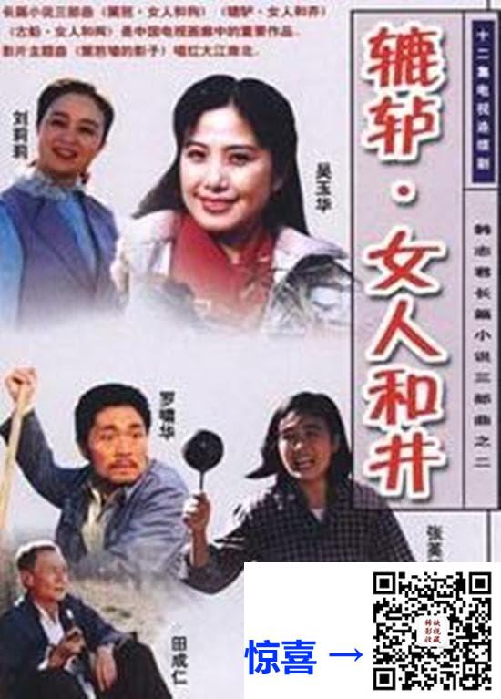 1991-辘轳·女人和井-田成仁-吴玉华-傅英-共12集-国语-无字幕-MP4每集均约330M-共3.94G-1280x864