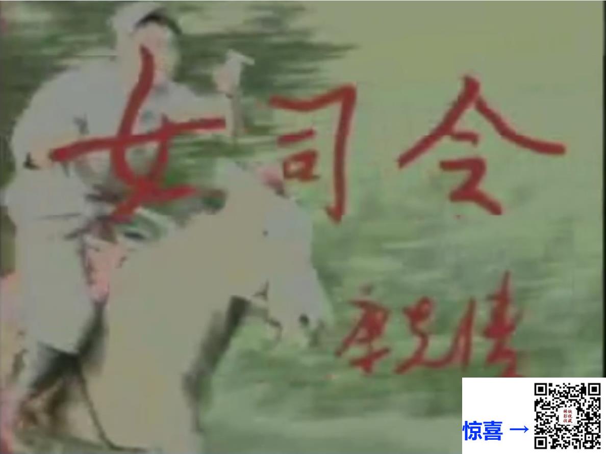 女司令-1989-百度网盘-4DAT-1.37G-480P