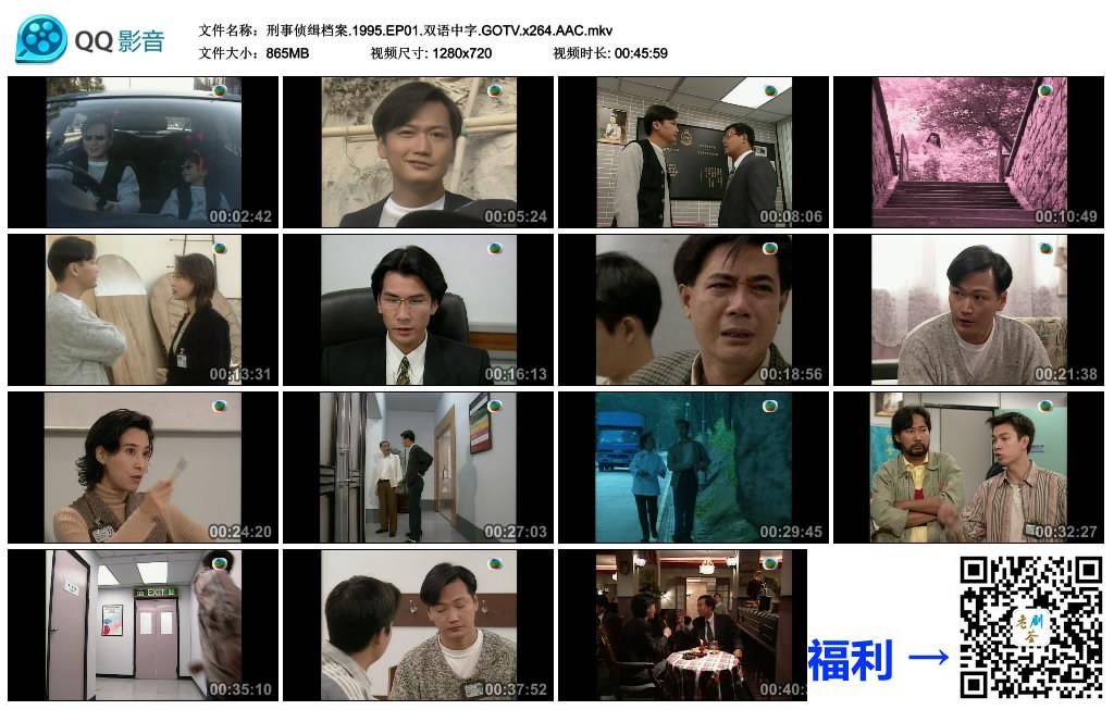 中国香港-1995-刑事侦缉档案Ⅰ-陶大宇-郭可盈-张延-共20集-国语-有字-mkv-每集800mb-无台标