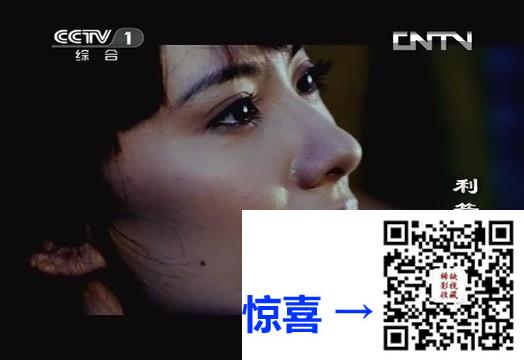 2008-李小龙传奇-陈国坤-王洛勇-盖克-共50集-国语中字-MP4每集均约250M-共10.66G-480x360