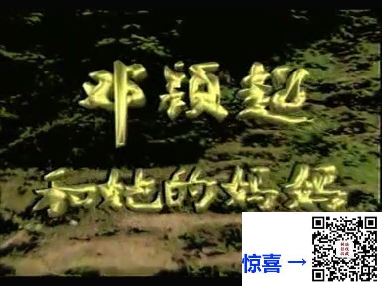 1995-邓颖超和她的妈妈-郑卫莉-吕中-国语无字-MPG-共9.7G-576P-8集全-每集约1.2G-绝版录像带