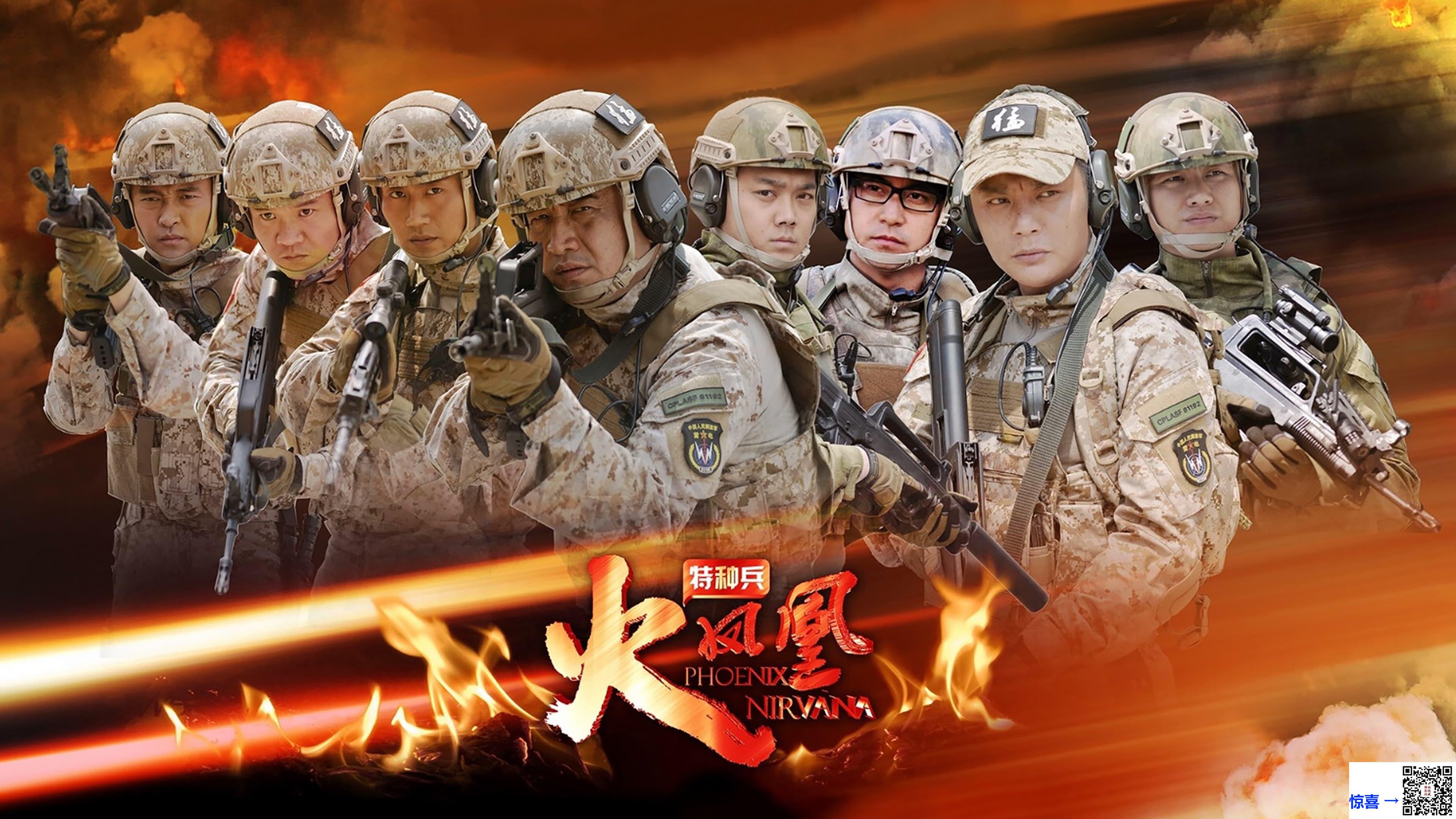 2013-特种兵之火凤凰-徐佳-刘晓洁-安雅萍-共46集-国语中字-MP4每集均约600M-共29.0G-1080P高清无水印