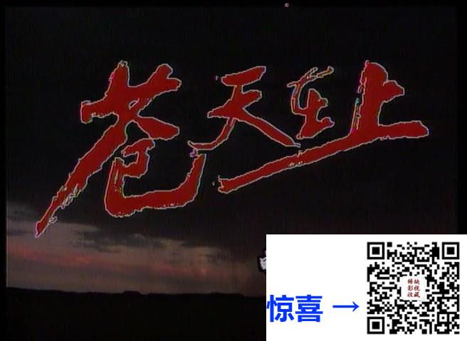 1995-苍天在上-李鸣-廖学秋-廖京生-国语-集数:17-TS-共3.48GB