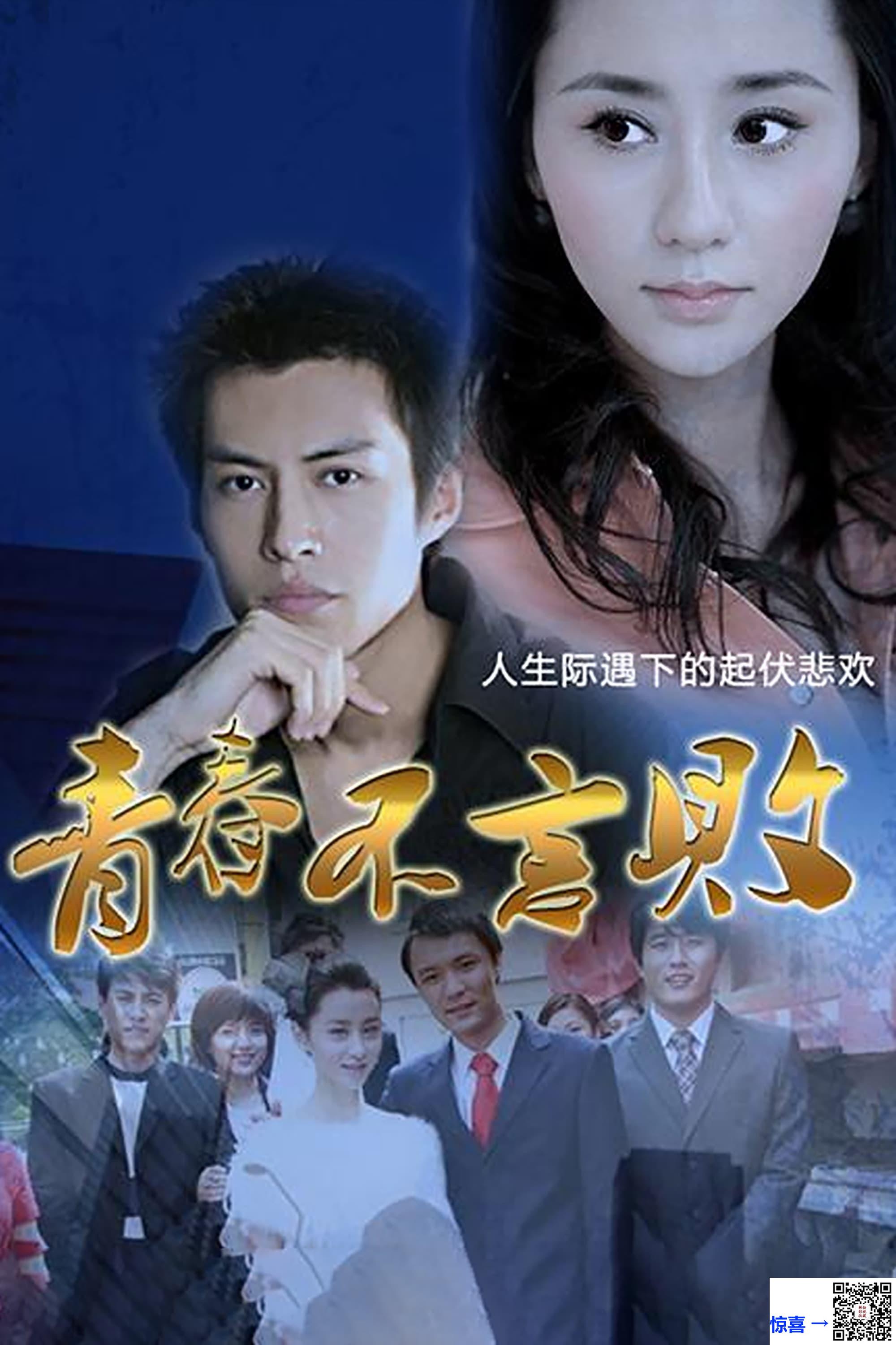 2013-青春不言败-靳东-李佳-刘立淇-共28集-国语中字-MP4每集均约1.91G-共53.49G-1080P-无水印