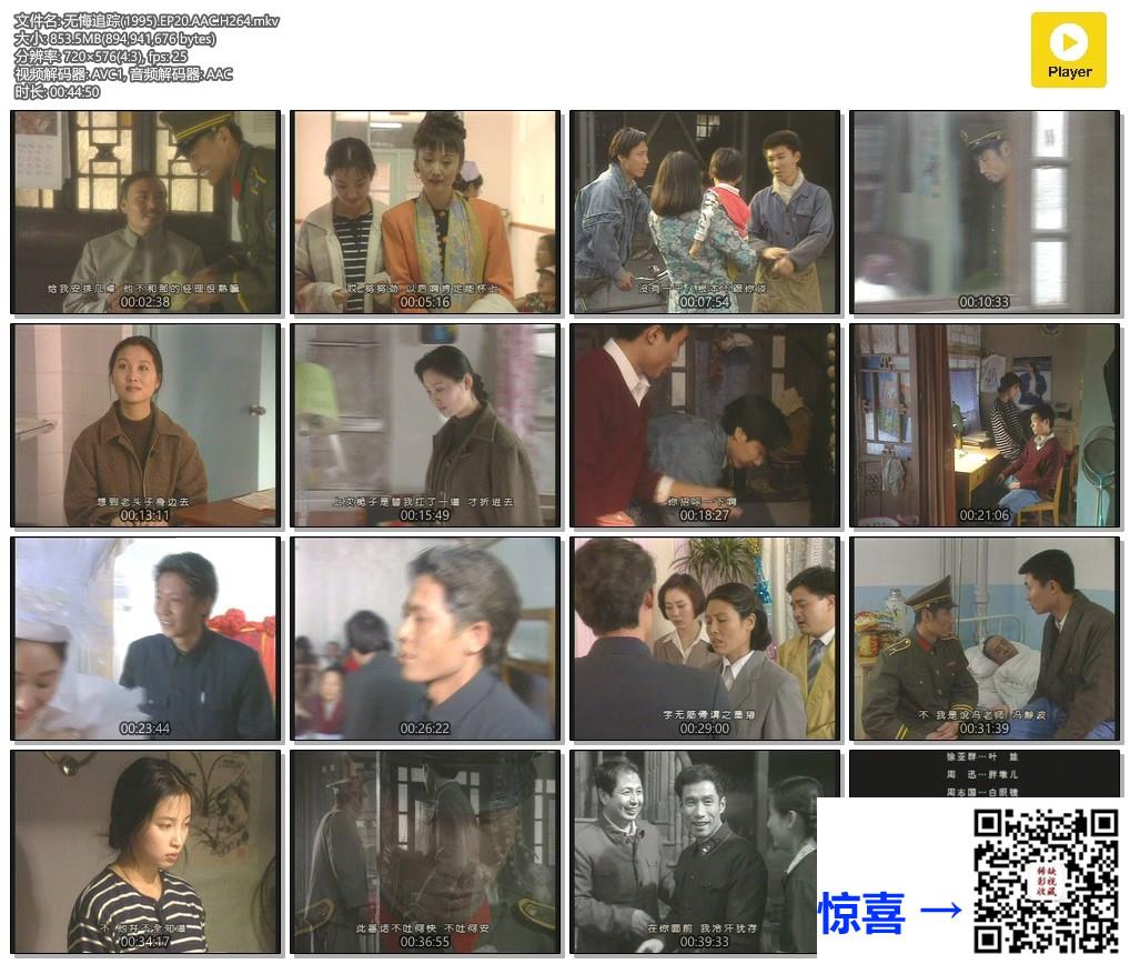 1995-无悔追踪-王志文-刘佩琦-岳秀清-共20集-国语中字-MKV每集均约760M共15.3G-720x576