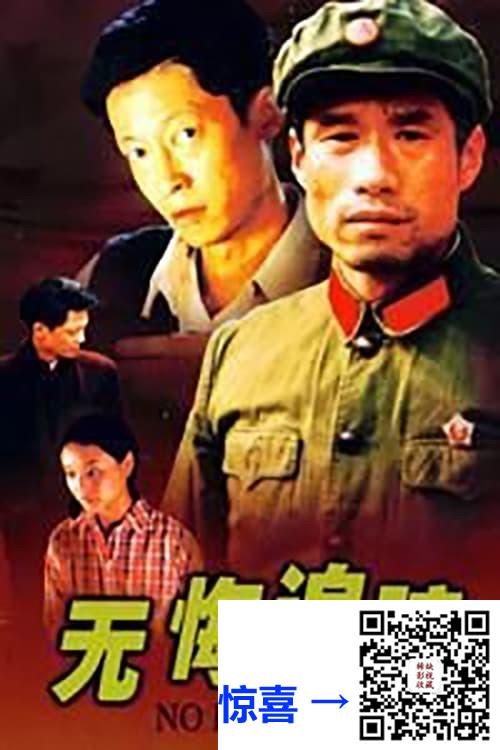 1995-无悔追踪-王志文-刘佩琦-岳秀清-共20集-国语中字-MP4每集均约300M-共6.12G-1280x720