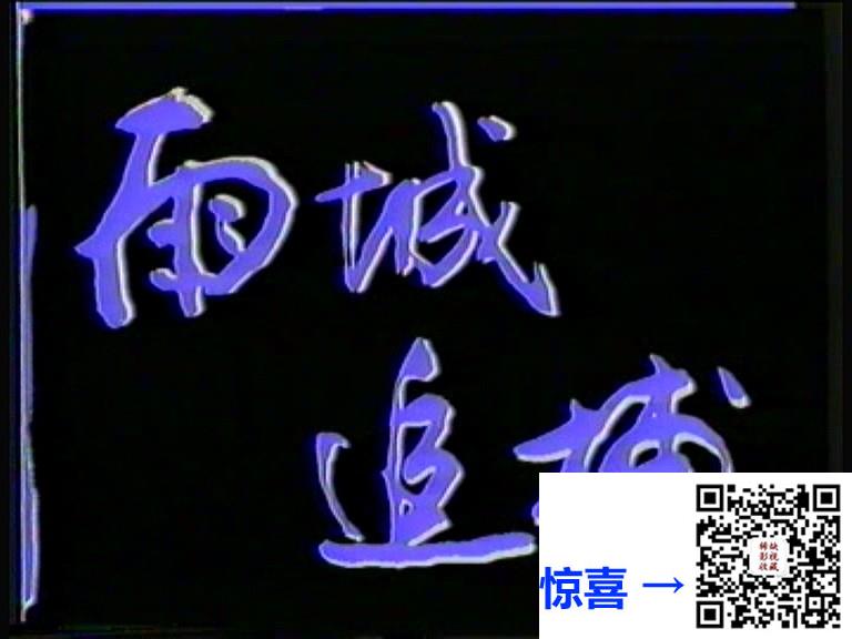 1989-雨城追捕-张桐-王槐英-国语无字-MPG-3.39G-576P-绝版录像带源码