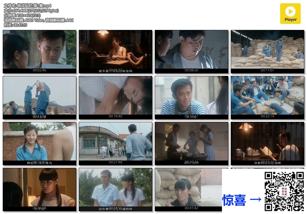 2007-桃花灿烂-王学兵-梁静-殷桃-21集-国语中字-MP4-4.72G-540P