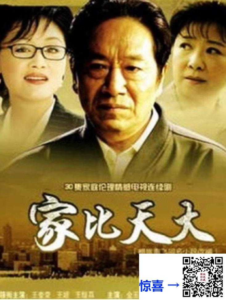 2007-家比天大-王奎荣-王姬-果靖霖-共31集-国语-中文字幕-MP4每集均约4.06G-共126.02GB-1080P-无水印