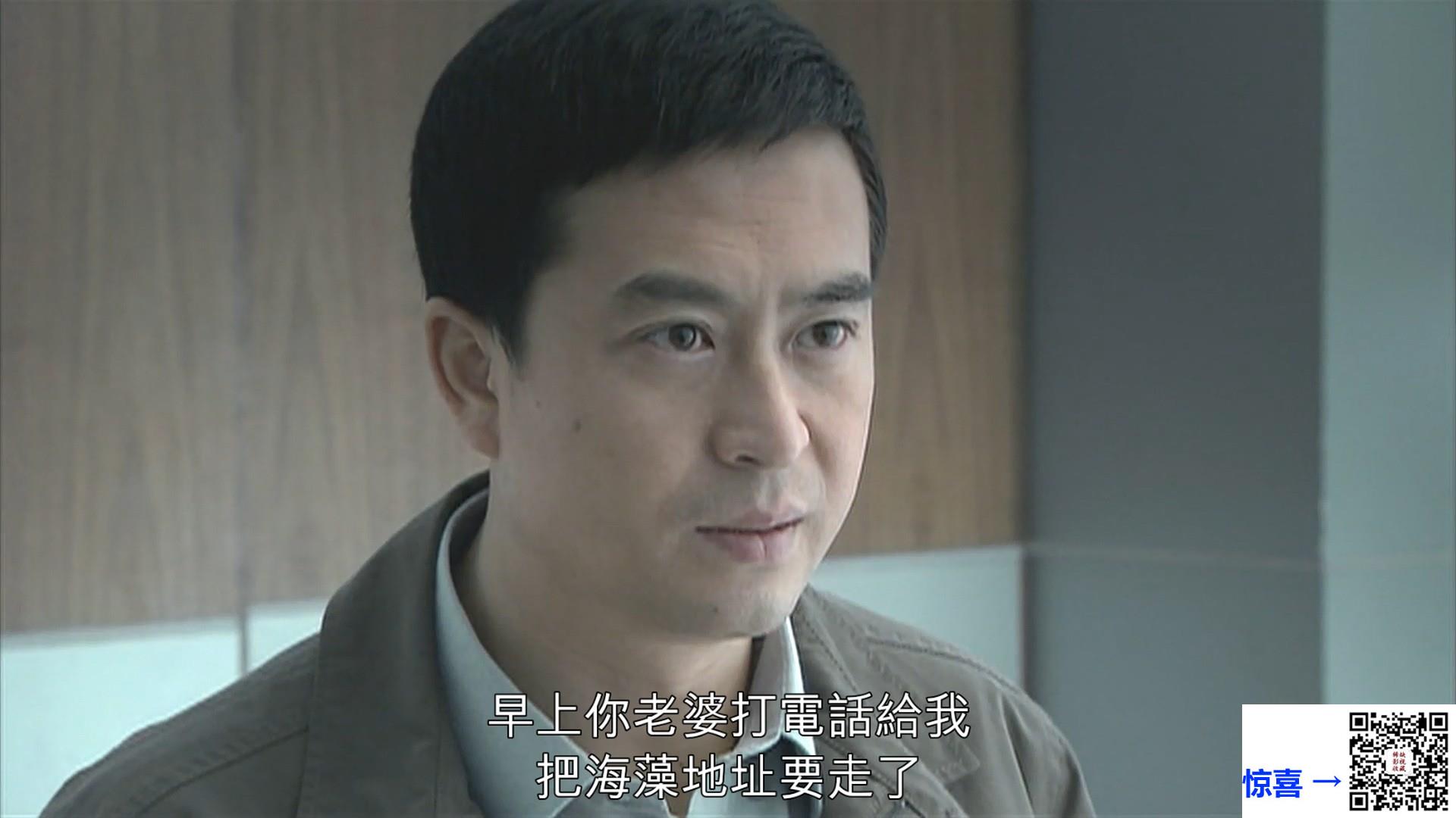 2009-蜗居-海清-李念-郝平-共33集-国语简繁中字-MP4每集均约2.5G-共83.04G-1080P高清无水印