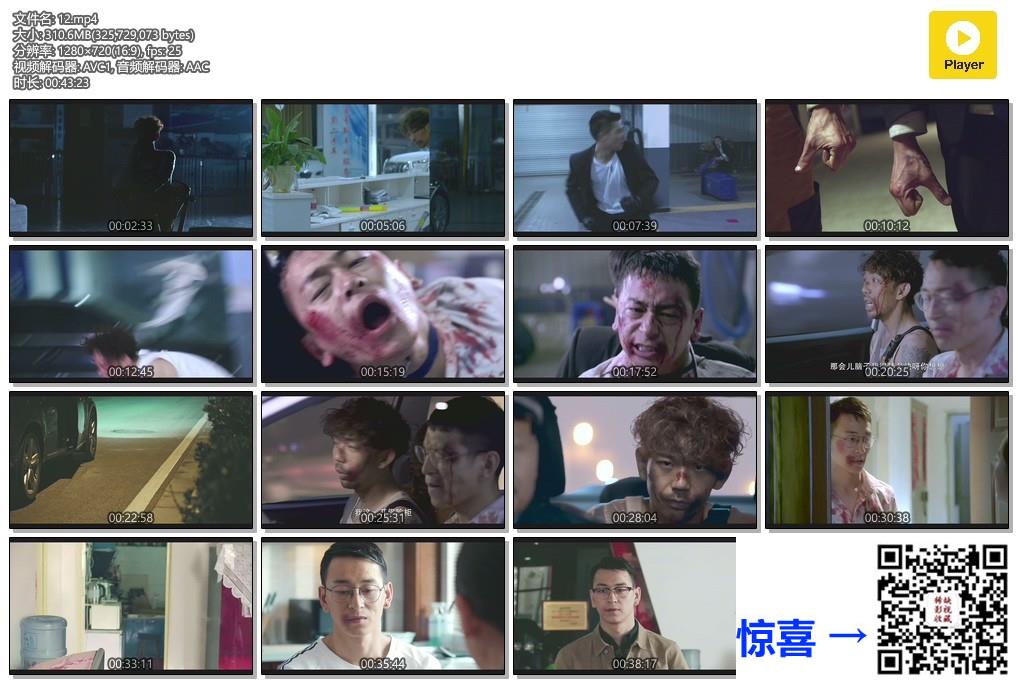 2017-杀不死-杨羽-邵庄-安宁-共12集-国语中字-MP4每集均约300M-共3.4G-1280x720