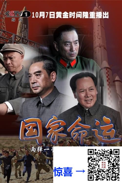 2012-国家命运-刘劲-谢钢-史鑫-共29集-国语中字-MP4每集均约650M-共18.78G-1080P-无水印