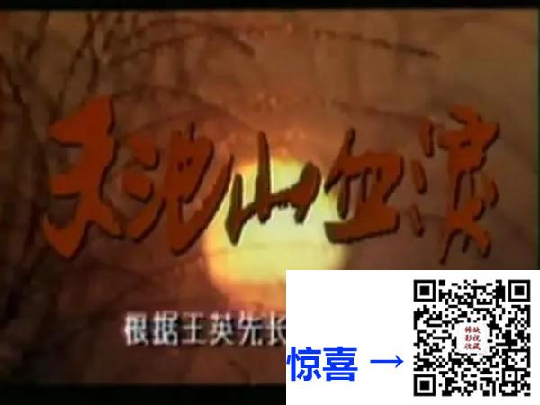中国-1988年-天池山血泪-宗平-10集-国语中字-FLV-每集约82M