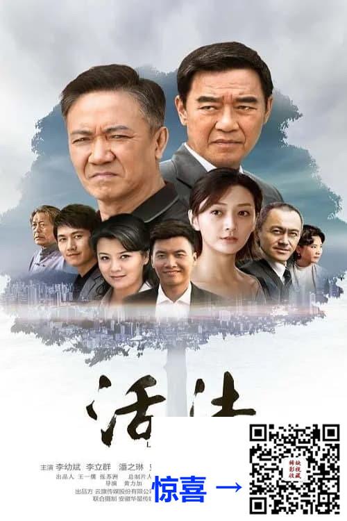 2015-活法-李幼斌-李立群-钱漪-共26集-国语中字-MP4每集均约1.0G-共28.81G-1080P高清无水印