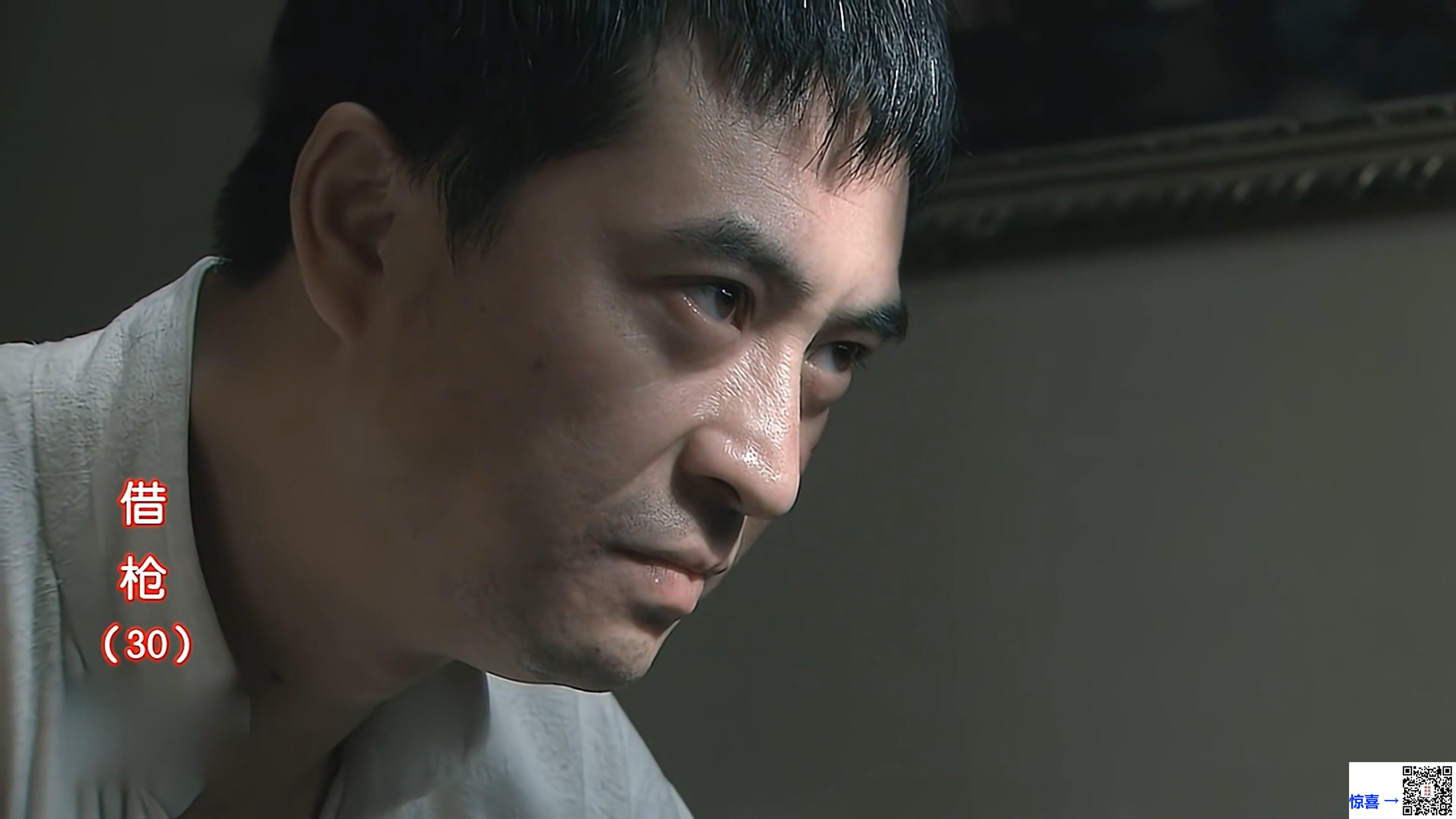 2011-借枪-张嘉益-罗海琼-张子健-共30集-国语中字-MP4每集均约600M-共17.58G-4K超清无水印