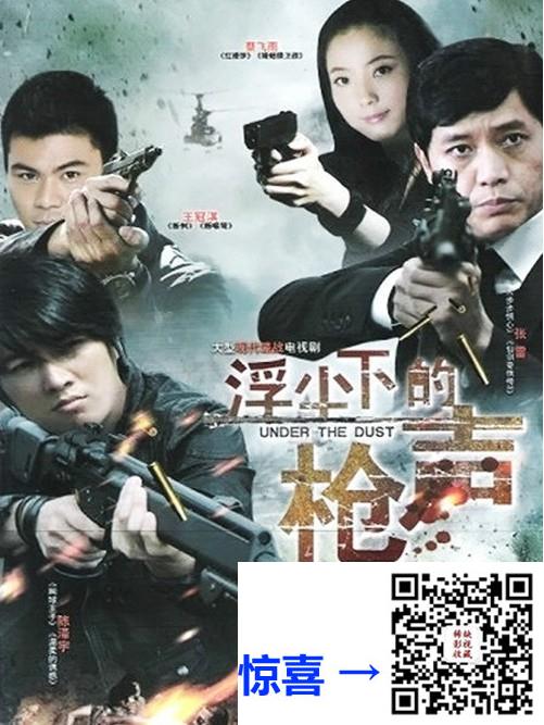 云盘-2012-浮沉下的枪声-26集全-国语中字-22.39G-1080P