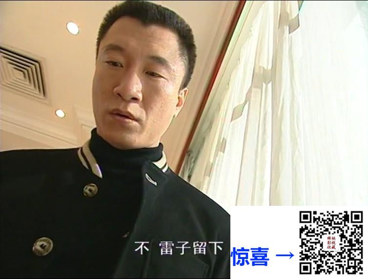 2002-浮华背后-宋春丽-孙红雷-陆毅-共25集-国语中字-MP4每集均约300M共7.69GB-708x572
