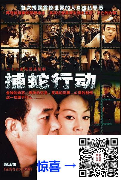 2005-捕蛇行动-陶泽如-吴秀波-王姬-共22集-国语中字-TS每集均约2.6G-共57.36G-1080P