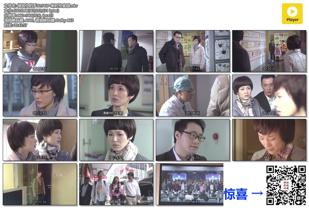 2014-错放你的手-罗晋-童蕾-聂鑫-共30集-国语-中文字幕-MKV每集约350MB共10.3GB-540P-无水印