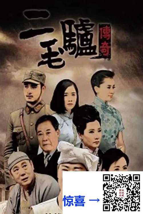 阿里云-2020-二毛驴传奇-张桐-李春嫒-刘钇彤-共42集-国语中字-MP4每集均约1.2G-共50.0G-1080P-无水印