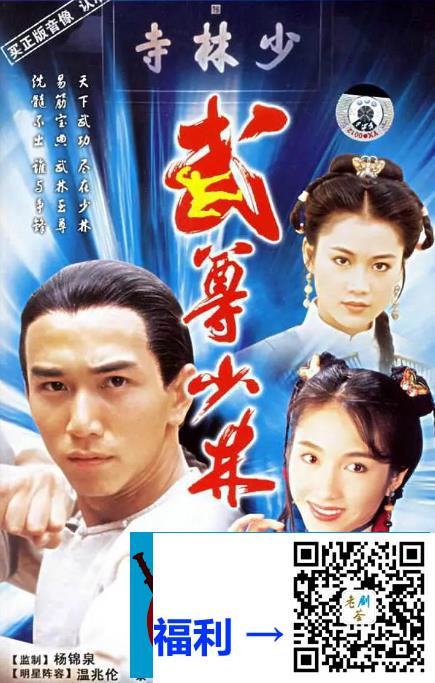 TVB-1993年-武尊少林-温兆伦-黎姿-梁小冰-20集全-星河TVRip-国粤双语中字-MKV-每集1.6G