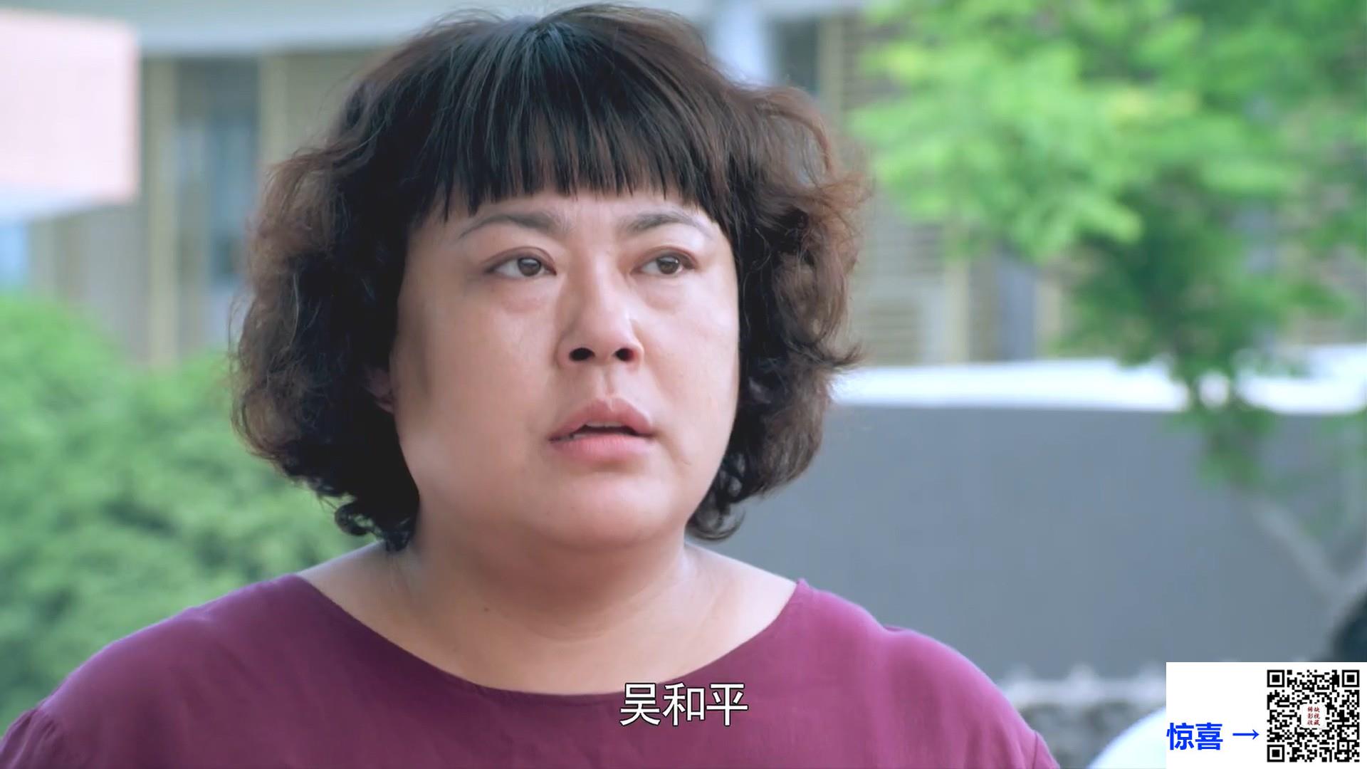 2013-推拿-濮存昕-张国强-李菁菁-共31集-国语中字-MP4每集均约580M-共17.78G-1080P高清无水印
