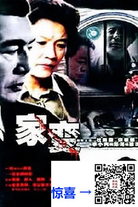 2004-家变-李小冉-22集-720pmkv11.8G-国语中字-带试集