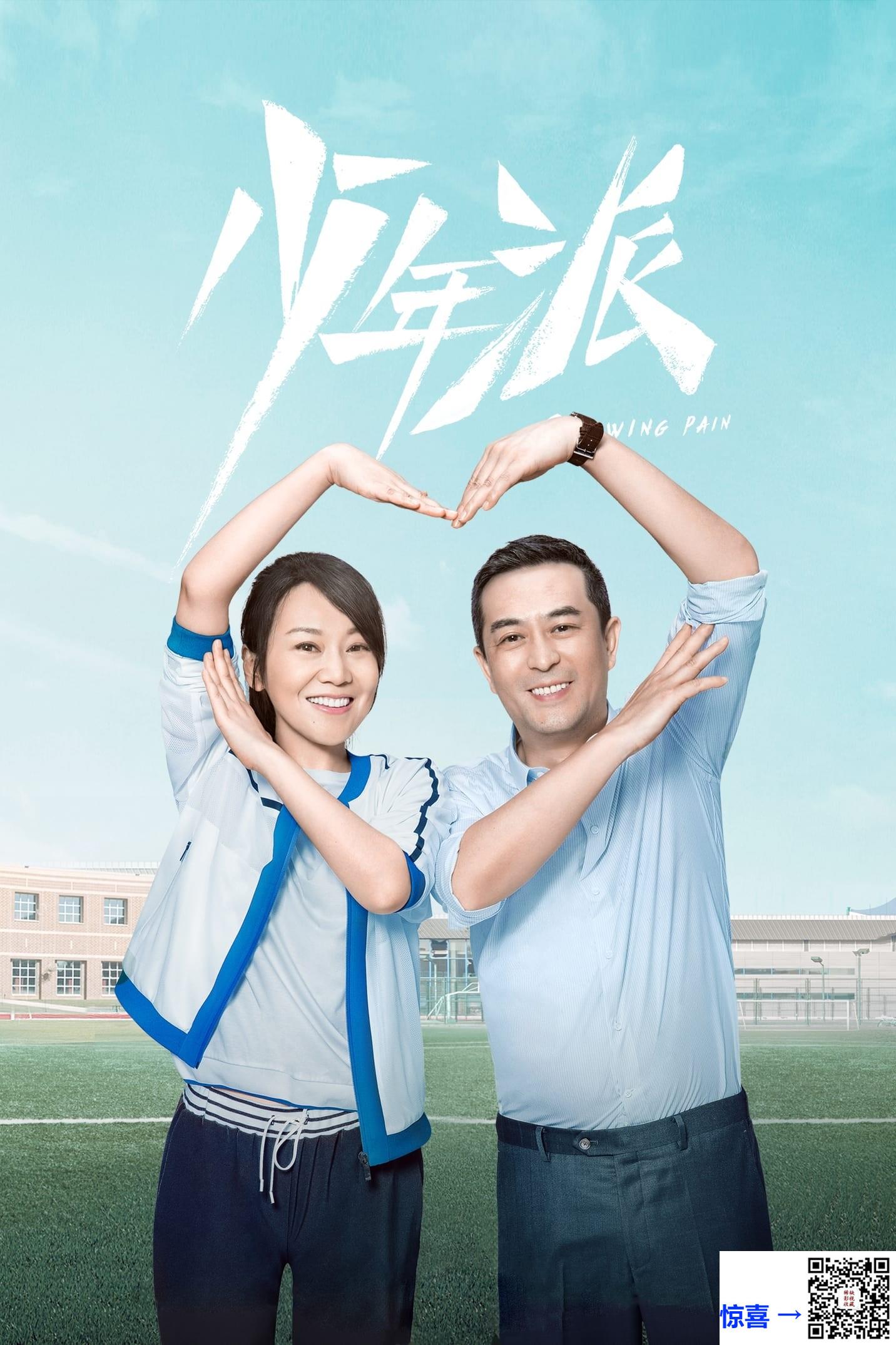 2019-少年派-张嘉益-闫妮-赵今麦-共40集-国语-中文字幕-MP4每集均约1.85G-共74.11GB-4K-2160P-超清无水印