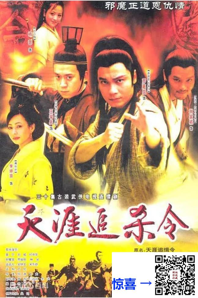 天涯追缉令-罗嘉良-王学兵-30集-15DVD5-iso-56.4G-国粤语中字