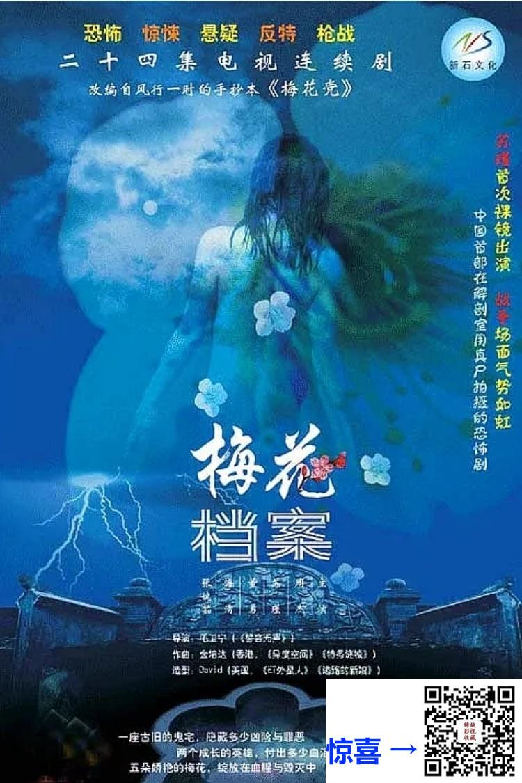 阿里云盘-2003-梅花档案全1-3季-周杰-苏瑾-董勇-共78集-国语中字-MP4+TS+MKV-共43.7G-720P第三部是480P