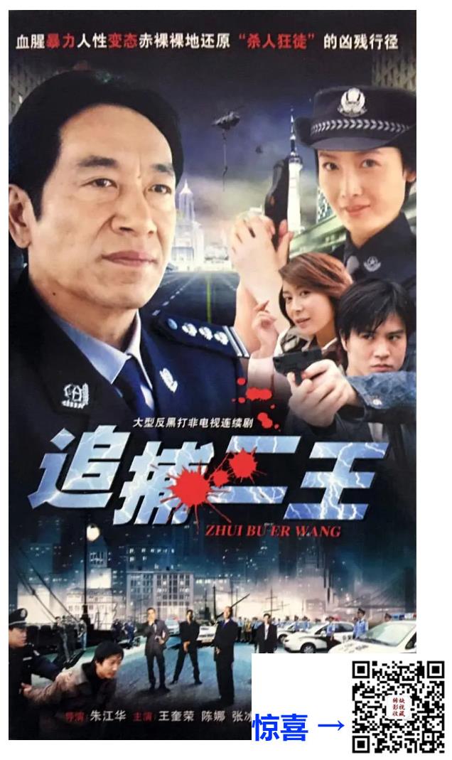 大陆-1994-追捕二王-国语中字-22集MP4-280M-集-奎荣-陈娜-张冰