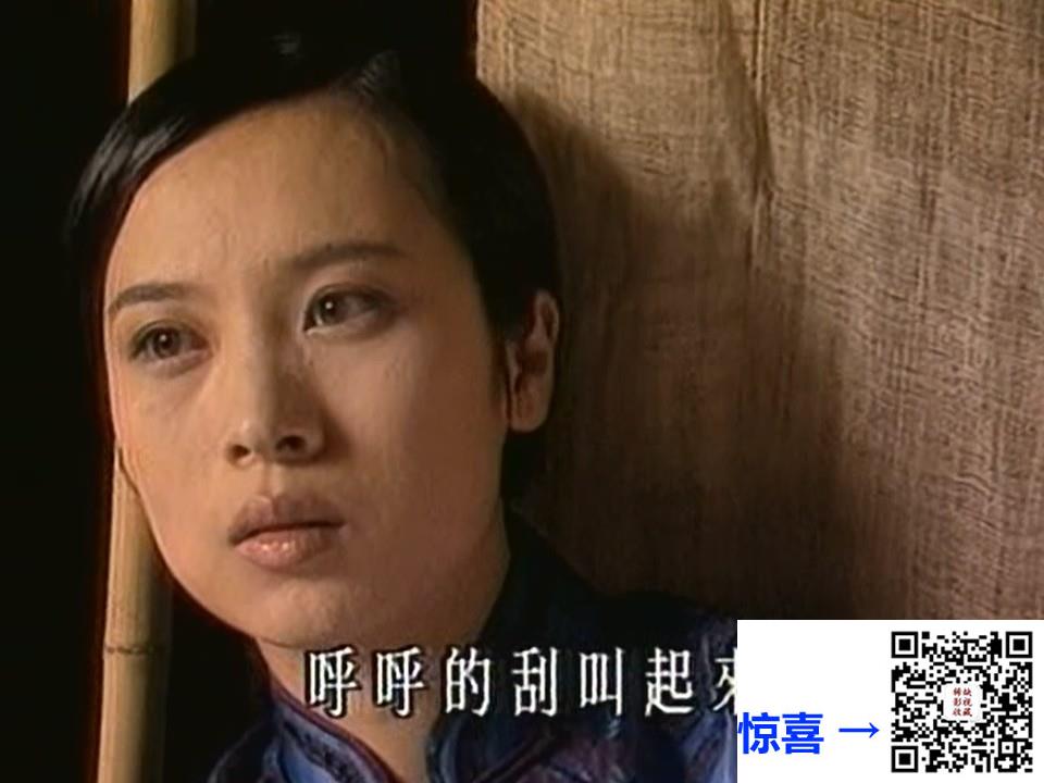 1997-千秋家国梦-赵文瑄-黄磊-关礼杰-共30集-国语中字-MP4每集均约1.66G-共49.9G-960x720